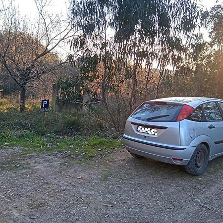 Watermill Moinho Garcia Ostello Pinheiro da Bemposta Esterno foto