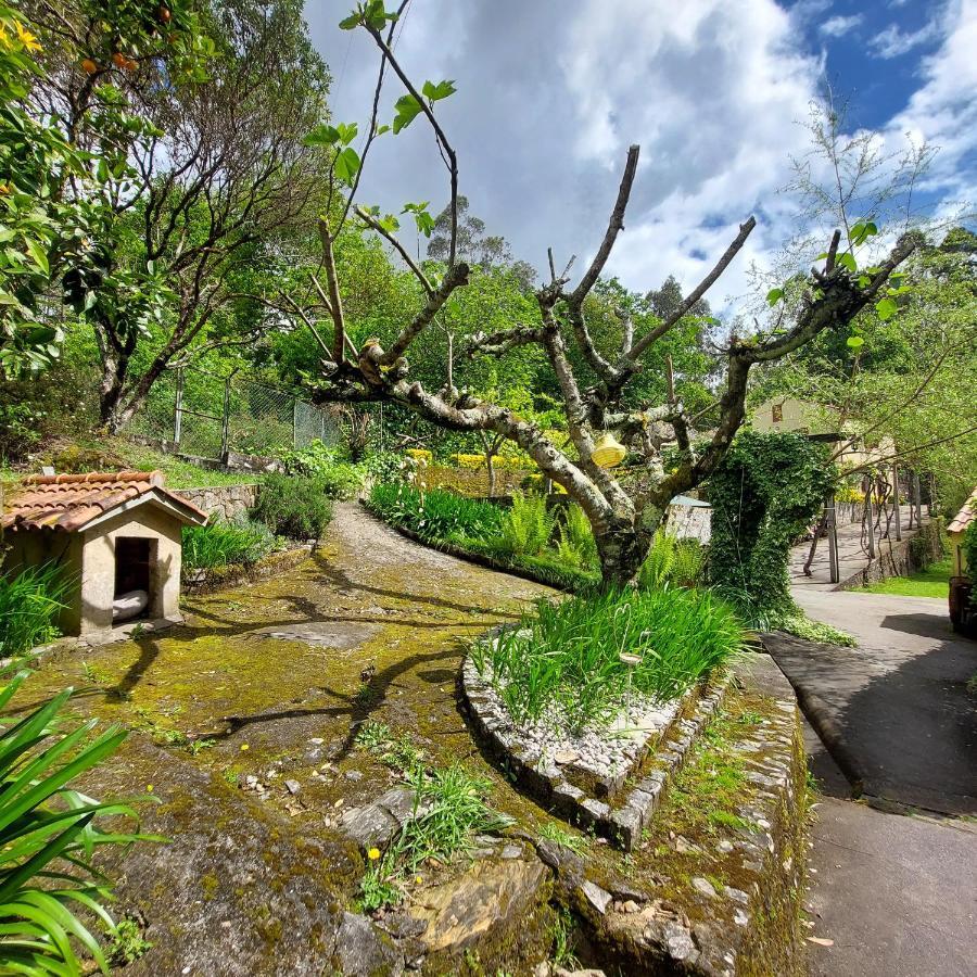 Watermill Moinho Garcia Ostello Pinheiro da Bemposta Esterno foto