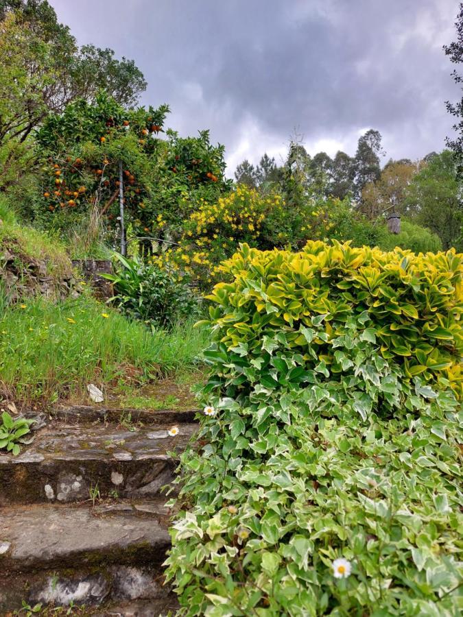 Watermill Moinho Garcia Ostello Pinheiro da Bemposta Esterno foto