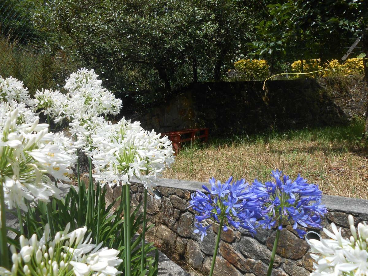 Watermill Moinho Garcia Ostello Pinheiro da Bemposta Esterno foto