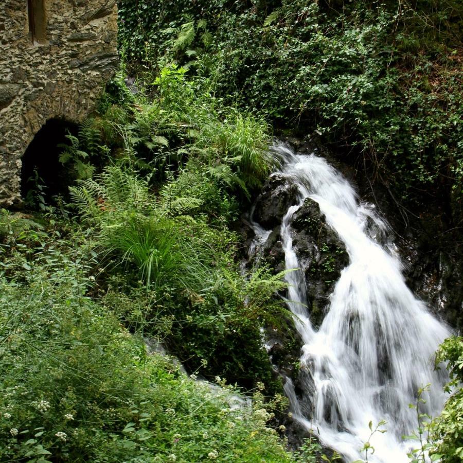 Watermill Moinho Garcia Ostello Pinheiro da Bemposta Esterno foto